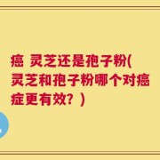 癌 灵芝还是孢子粉(灵芝和孢子粉哪个对癌症更有效？)