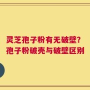 灵芝孢子粉有无破壁？孢子粉破壳与破壁区别
