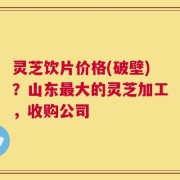 灵芝饮片价格(破壁)？山东最大的灵芝加工，收购公司