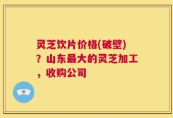 灵芝饮片价格(破壁)？山东最大的灵芝加工，收购公司