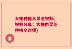大棚种植大灵芝视频(视频分享：大棚内灵芝种植全过程)