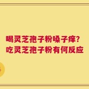 喝灵芝孢子粉嗓子痒？吃灵芝孢子粉有何反应