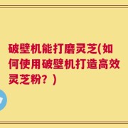 破壁机能打磨灵芝(如何使用破壁机打造高效灵芝粉？)