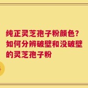 纯正灵芝孢子粉颜色？如何分辨破壁和没破壁的灵芝孢子粉