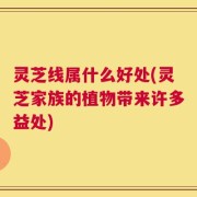 灵芝线属什么好处(灵芝家族的植物带来许多益处)