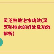 灵芝熟地泡水功效(灵芝熟地水的好处及功效解析)
