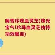 暖雪珍珠血灵芝(珠光宝气!珍珠血灵芝独特功效瞩目)