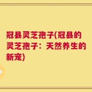 冠县灵芝孢子(冠县的灵芝孢子：天然养生的新宠)