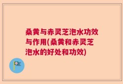 桑黄与赤灵芝泡水功效与作用(桑黄和赤灵芝泡水的好处和功效)