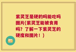 紫灵芝是硬的吗能吃吗图片(紫灵芝能被食用吗？了解一下紫灵芝的硬度和图片！)