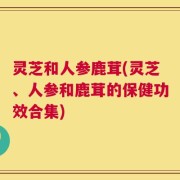灵芝和人参鹿茸(灵芝、人参和鹿茸的保健功效合集)