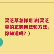 灵芝草怎样用法(灵芝草的正确用法和方法，你知道吗？)
