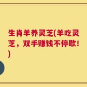 生肖羊养灵芝(羊吃灵芝，双手赚钱不停歇！)