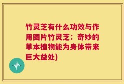 竹灵芝有什么功效与作用图片竹灵芝：奇妙的草本植物能为身体带来巨大益处)