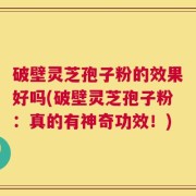 破壁灵芝孢子粉的效果好吗(破壁灵芝孢子粉：真的有神奇功效！)