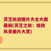 灵芝旅游图片大全大图最新(灵芝之旅：极致风景图片大赏)