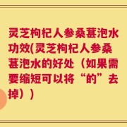 灵芝枸杞人参桑葚泡水功效(灵芝枸杞人参桑葚泡水的好处（如果需要缩短可以将“的”去掉）)