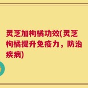 灵芝加枸橘功效(灵芝枸橘提升免疫力，防治疾病)
