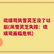 琉璃司凤雪灵芝没了以后(凤雪灵芝失踪：琉璃司面临危机)