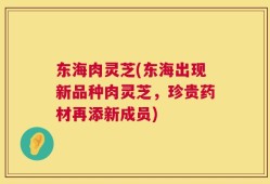 东海肉灵芝(东海出现新品种肉灵芝，珍贵药材再添新成员)
