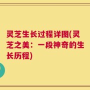 灵芝生长过程详图(灵芝之美：一段神奇的生长历程)