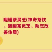 罐罐茶灵芝(神奇茶饮，罐罐茶灵芝，助您改善体质)