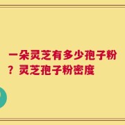 一朵灵芝有多少孢子粉？灵芝孢子粉密度