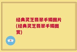 经典灵芝翡翠手镯图片(经典灵芝翡翠手镯图赏)
