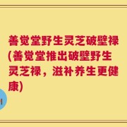 善觉堂野生灵芝破壁禄(善觉堂推出破壁野生灵芝禄，滋补养生更健康)
