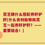 灵芝跟什么搭配养肝护肝(什么食材能够和灵芝一起养肝护肝？——重要组合！)