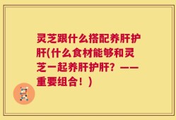灵芝跟什么搭配养肝护肝(什么食材能够和灵芝一起养肝护肝？——重要组合！)