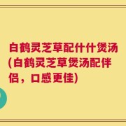 白鹤灵芝草配什什煲汤(白鹤灵芝草煲汤配伴侣，口感更佳)