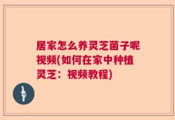 居家怎么养灵芝菌子呢视频(如何在家中种植灵芝：视频教程)