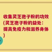 收集灵芝孢子粉的功效(灵芝孢子粉的益处：提高免疫力和滋养身体)