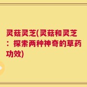 灵菇灵芝(灵菇和灵芝：探索两种神奇的草药功效)