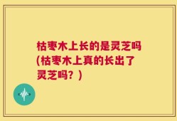 枯枣木上长的是灵芝吗(枯枣木上真的长出了灵芝吗？)