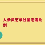 人参灵芝羊肚菌泡酒比例