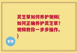 灵芝草如何养护视频(如何正确养护灵芝草？视频教你一步步操作。)