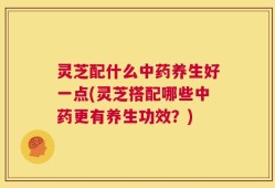 灵芝配什么中药养生好一点(灵芝搭配哪些中药更有养生功效？)