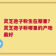 灵芝孢子粉生在那里？灵芝孢子粉哪里的产地最好