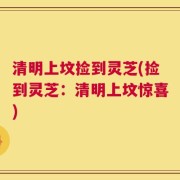 清明上坟捡到灵芝(捡到灵芝：清明上坟惊喜)