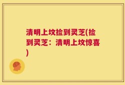 清明上坟捡到灵芝(捡到灵芝：清明上坟惊喜)