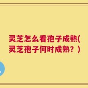 灵芝怎么看孢子成熟(灵芝孢子何时成熟？)