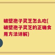 破壁孢子灵芝怎么吃(破壁孢子灵芝的正确食用方法详解)