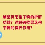 破壁灵芝孢子粉的护肝功效？详解破壁灵芝孢子粉的保肝作用？