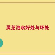 灵芝泡水好处与坏处