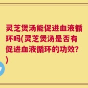 灵芝煲汤能促进血液循环吗(灵芝煲汤是否有促进血液循环的功效？)