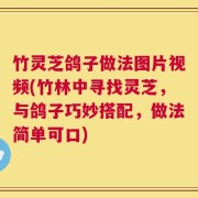 竹灵芝鸽子做法图片视频(竹林中寻找灵芝，与鸽子巧妙搭配，做法简单可口)