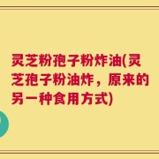 灵芝粉孢子粉炸油(灵芝孢子粉油炸，原来的另一种食用方式)