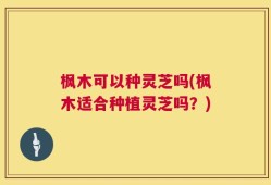 枫木可以种灵芝吗(枫木适合种植灵芝吗？)